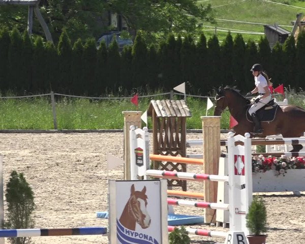 Reitturnier Fehraltorf 2019