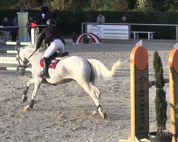 Reitturnier Durmersheim-Hardt 2021