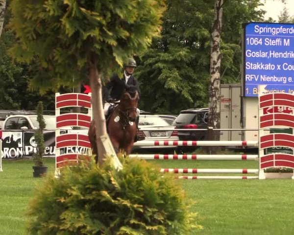 Reitturnier Hille 2019