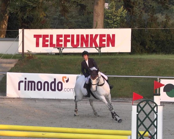 Reitturnier Durmersheim-Hardt 2021