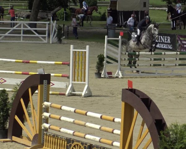 Reitturnier Hamm-Rhynern 2019