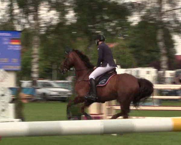 Reitturnier Hille 2019