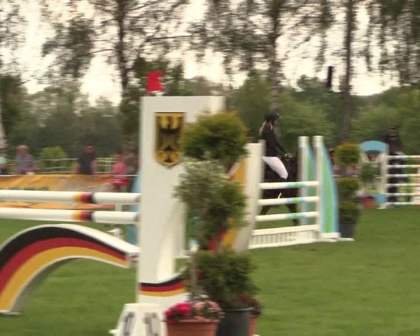 Reitturnier Hille 2019