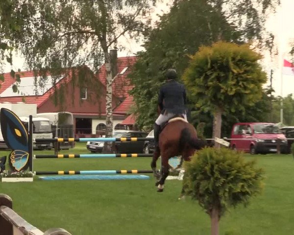 Reitturnier Hille 2019