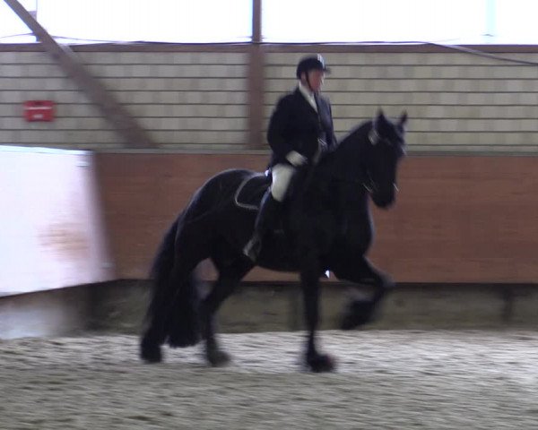 Reitturnier Hellefeld 2019