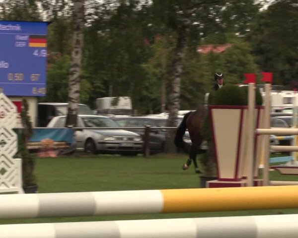 Reitturnier Hille 2019