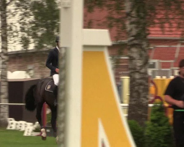 Reitturnier Hille 2019