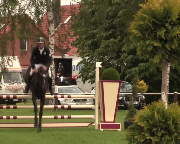 Reitturnier Hille 2019