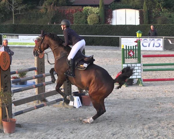 Reitturnier Durmersheim-Hardt 2021
