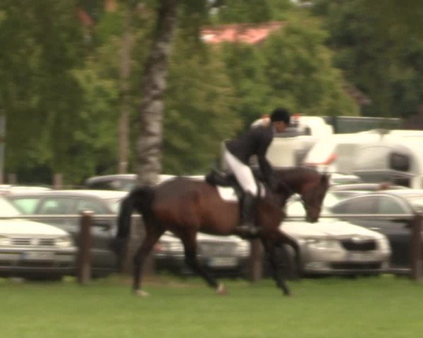 Reitturnier Hille 2019