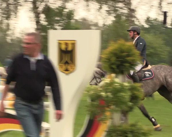 Reitturnier Hille 2019