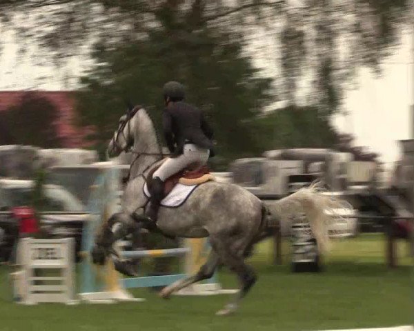 Reitturnier Hille 2019