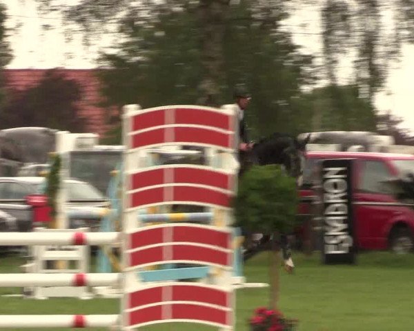 Reitturnier Hille 2019