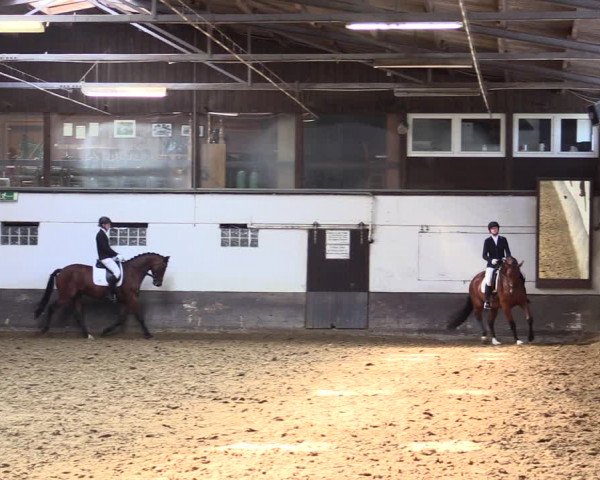 Reitturnier Ascheberg 2021