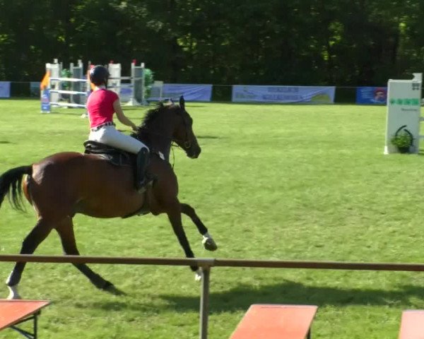 Reitturnier Leingarten 2019