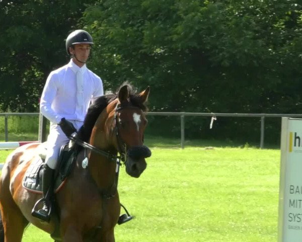 Reitturnier Leingarten 2019