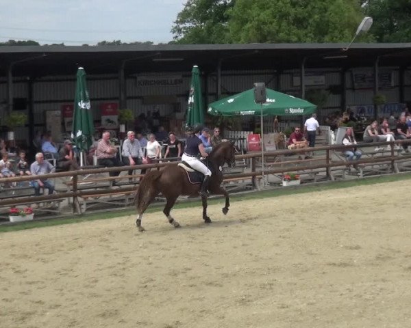 Reitturnier Kirchhellen/Stall Dieckmann 2019