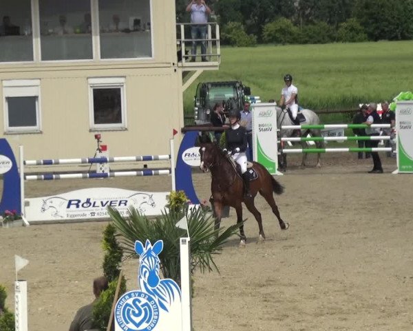 Reitturnier Kirchhellen/Stall Dieckmann 2019