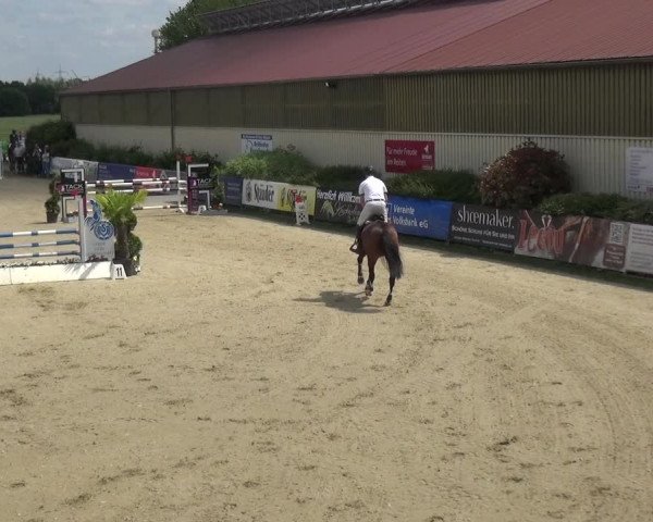 Reitturnier Kirchhellen/Stall Dieckmann 2019