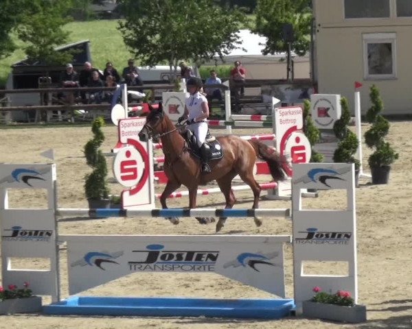 Reitturnier Kirchhellen/Stall Dieckmann 2019