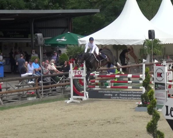 Reitturnier Kirchhellen/Stall Dieckmann 2019