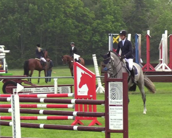 Reitturnier Medelby 2019