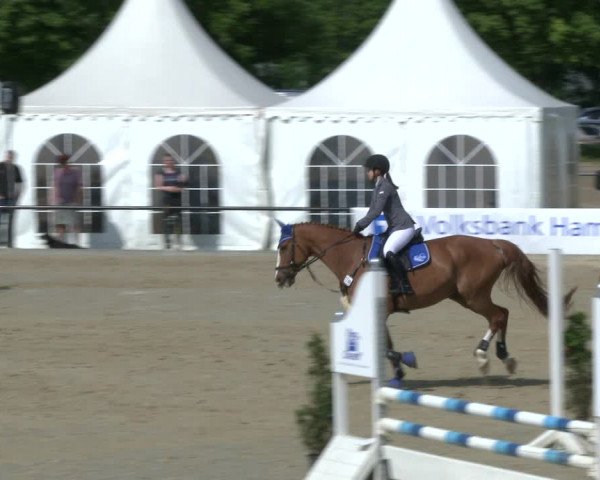 Reitturnier Hamm-Rhynern 2019