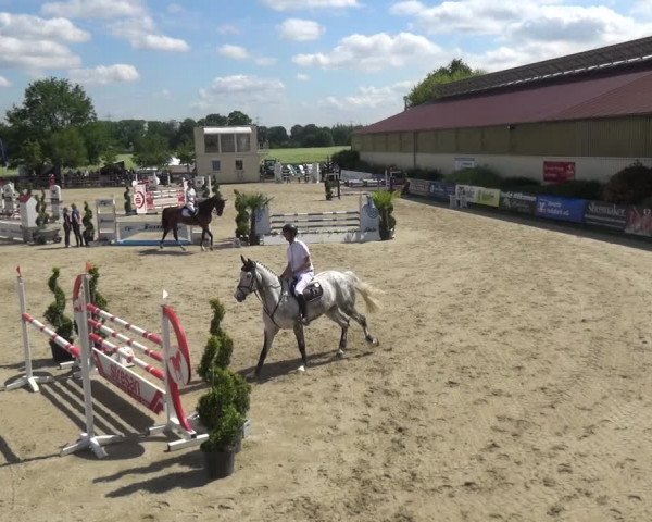 Reitturnier Kirchhellen/Stall Dieckmann 2019