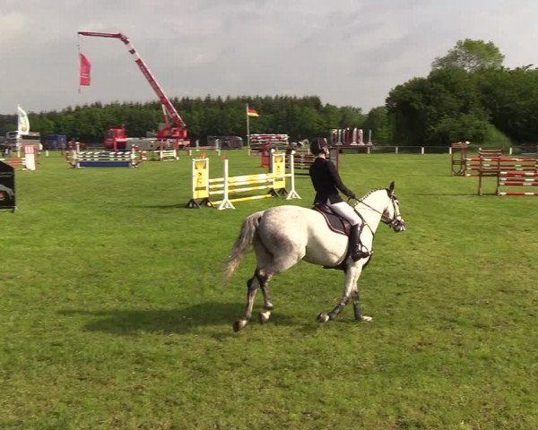 Reitturnier Medelby 2019