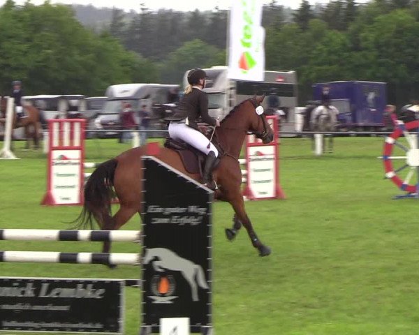 Reitturnier Medelby 2019