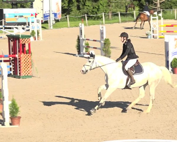 Reitturnier Fehraltorf 2019