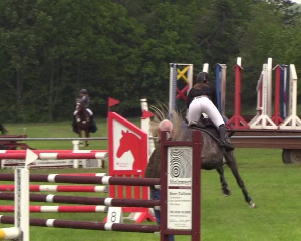 Reitturnier Medelby 2019