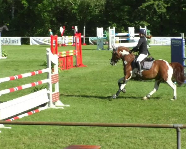 Reitturnier Leingarten 2019
