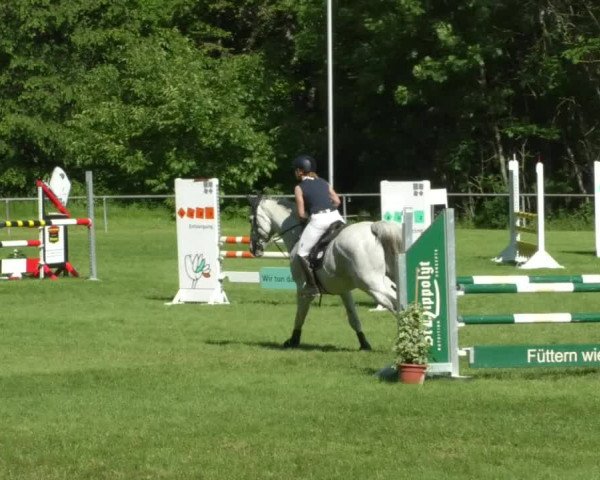 Reitturnier Leingarten 2019