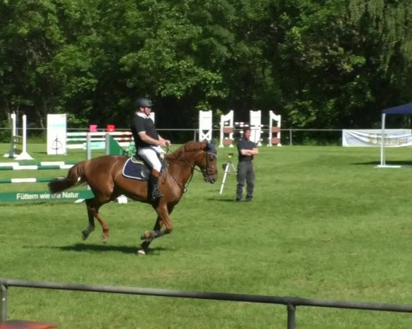 Reitturnier Leingarten 2019