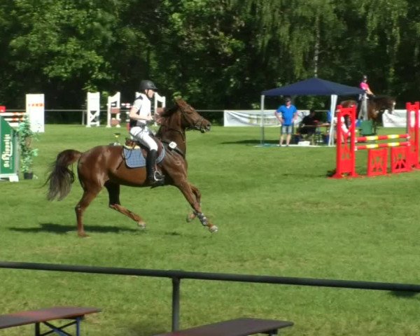 Reitturnier Leingarten 2019