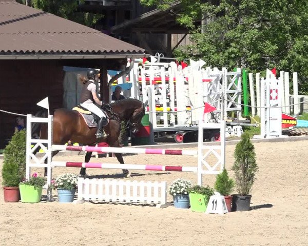 Reitturnier Fehraltorf 2019