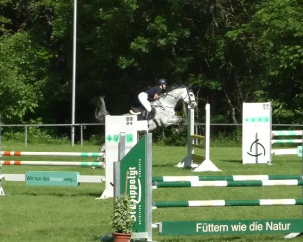 Reitturnier Leingarten 2019