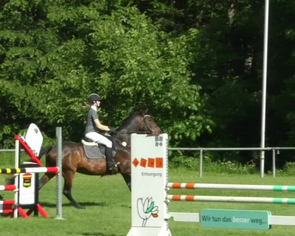 Reitturnier Leingarten 2019