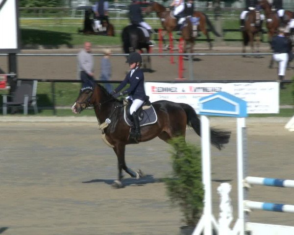 Reitturnier Hamm-Rhynern 2019