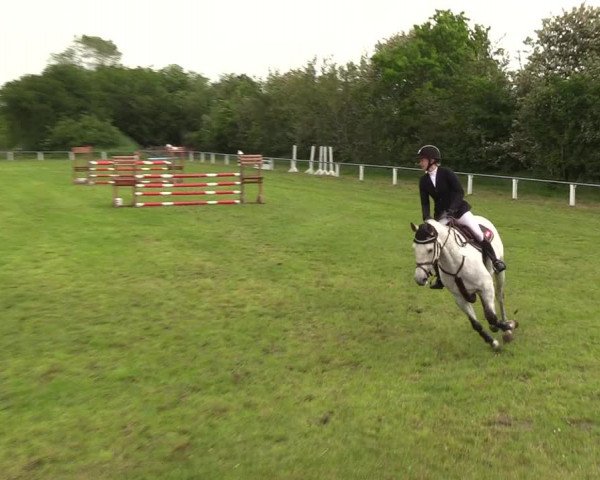 Reitturnier Medelby 2019