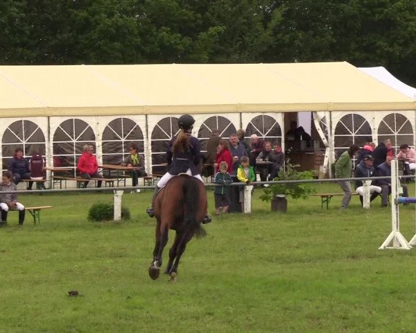 Reitturnier Medelby 2019