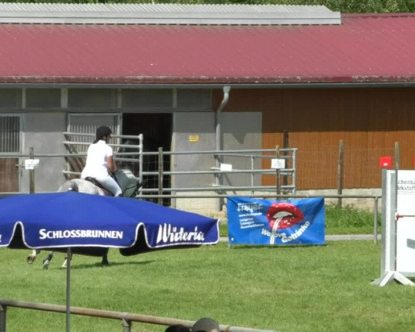 Reitturnier Leingarten 2019