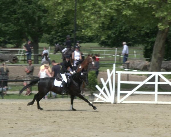 Reitturnier Hamm-Rhynern 2019
