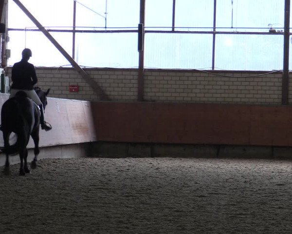 Reitturnier Hellefeld 2019