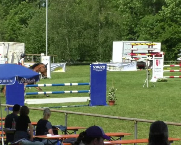 Reitturnier Leingarten 2019