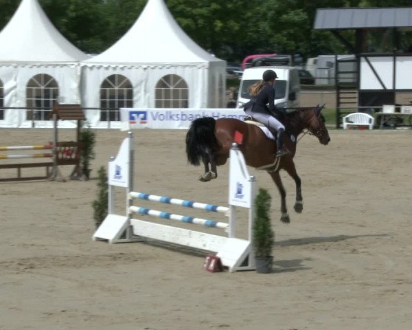 Reitturnier Hamm-Rhynern 2019