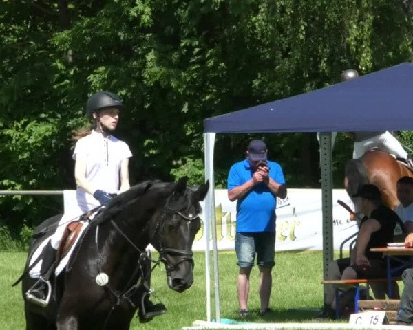 Reitturnier Leingarten 2019