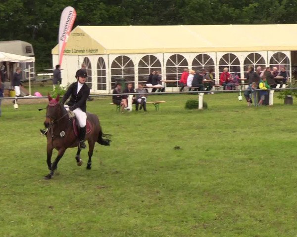 Reitturnier Medelby 2019