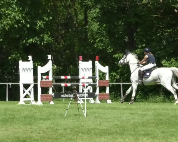 Reitturnier Leingarten 2019